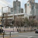 서이초등학교 | 서초동 피부과 브이로 어드밴스 리프팅, 튠페이스 통증 효과 후기 +비포애프터