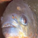 성문개발 이미지