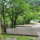 소백산 별빛감성 캠핑장 | 강원도 계곡 감성 제대로! 검산별빛캠핑장 완벽 후기