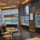 도그마루 강아지 고양이 부산점 이미지