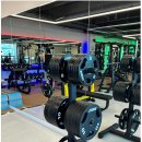 금촌 아르젠 | 헬스클럽의 참맛을 느낄 수 있는 아르젠 휘트니스 금촌점, 파주 헬스장 간단 후기