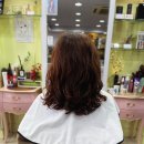 홍성천길 이미지