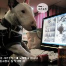 바니PC방 이미지