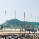 목포야구장 이미지