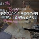 광명 24 아이디동물의료센터 | [광명 동물병원] 광명24아이디동물의료센터_강아지 고열/CRP 수치 입원치료