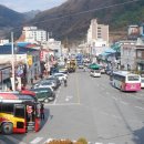 증산진료소 Daum카페