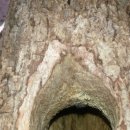 조약돌민박 이미지