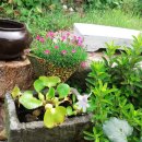 바다노을펜션 이미지