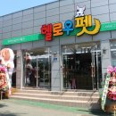 제주 헬로우펫 이미지