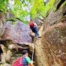 여우와늑대 이미지