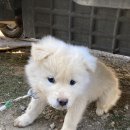 이가형제농장 이미지