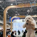 나라펫 | 2025 메가주 일산, 케이펫페어 킨텍스 일산 펫페어 펫박람회 후기