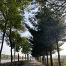 덕산고 | [오정테니스장] 부천 오정동 레포츠센터에서 첫 야외코트 내돈내산 후기 (가는방법)