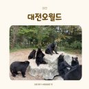 오월드2 | 아이와 함께한 대전 오월드 사파리 놀이기구 퍼레이드 후기