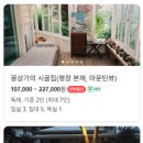 스테이오별 이미지