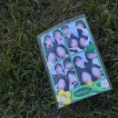 하1-5리 | 5리 꽥꽥 오월