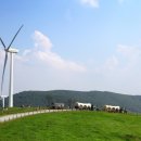 관동목장 이미지