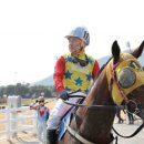 렛츠런파크 부산경남 이미지