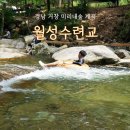 월성숲 아래 화장실 이미지