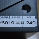 H6019 이미지