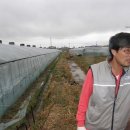 흙사랑3농장 이미지