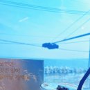 커피(COFFEE311) 이미지