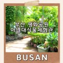 대연수목전시원 | 부산 평화공원 아열대식물체험관부터 유엔기념공원까지 – 아이와 함께 걷기 좋은 도심 속 자연산책 코스