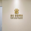 리센츠 스타동물병원 이미지