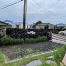 제주도 돌집 삼다헌 한동점 이미지