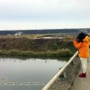 신평천 | 김제 신평천 배스 후기