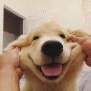 커트하기