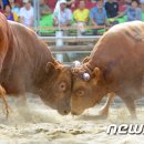 화산체육공원4 이미지