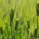 무량농장 이미지