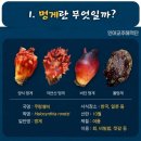 장보고상회
