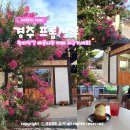 배롱나무길 | 경주 카페 프롬상록 : 배롱나무 피어난 황리단길 예쁜 한옥 슈 디저트 카페