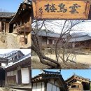 홍진청과 | 구름 속에 새처럼 숨어 사는 구례 운조루(雲鳥樓)
