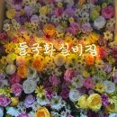 [술집리뷰] 천안 신부동 들국화실비집 솔직후기 / 레트로감성술집 추천