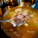 케이지모빌리티 서구서비스프라자 | 청라 육회 맛집 무궁 다양한 메뉴가있는 한식 전문점