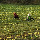 거북이마을 이미지