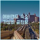 (에버라인)전대에버랜드역 | 에버랜드 숙소 용인 라마다 G7호텔 골든 튤립 위치 가성비 장단점 후기 총정리