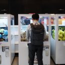 인형뽑기 이미지