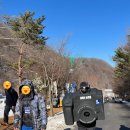 태백청년회의소 | 강원도 태백가볼만한곳 2024년 태백산눈축제 방문후기 대형눈조각 대형 이글루카페 셔틀버스