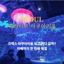 빌리엔젤삼성EUV점 | 코엑스 아쿠아리움 카페 삼성 놀거리 씨라이프