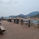 금강로 가로수길 이미지