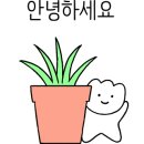 하루화