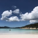 위트선데이 이미지