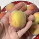 매향농장 이미지