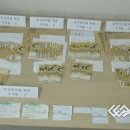 충청일보 ] 충남교육감 후보 사무장 &#39;돈봉투&#39; 이미지