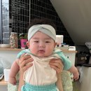 브라운베이글 이미지