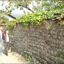 돌담 이미지